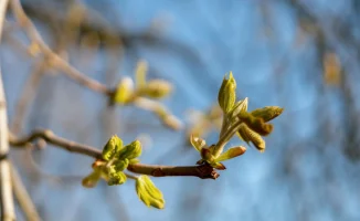 Апрель в Астане и Алматы: тепло или холодный сюрприз?
