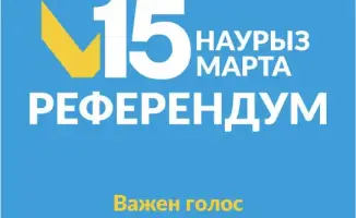 Высокая активность жителей отдаленных районов на референдуме: возможные последствия для местного самоуправления