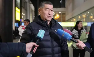 На коньках к победе: Казахстанская юниорская сборная вернулась с медалями из Германии