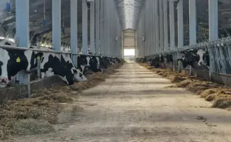 Льготные кредиты на животноводство в Казахстане