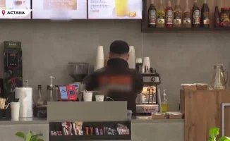 В Астане растет популярность Pet-Friendly кафе: новые заведения открывают двери для питомцев