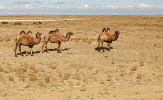 Казахстан: воздух раскалится до +32, готовьтесь к жаре!