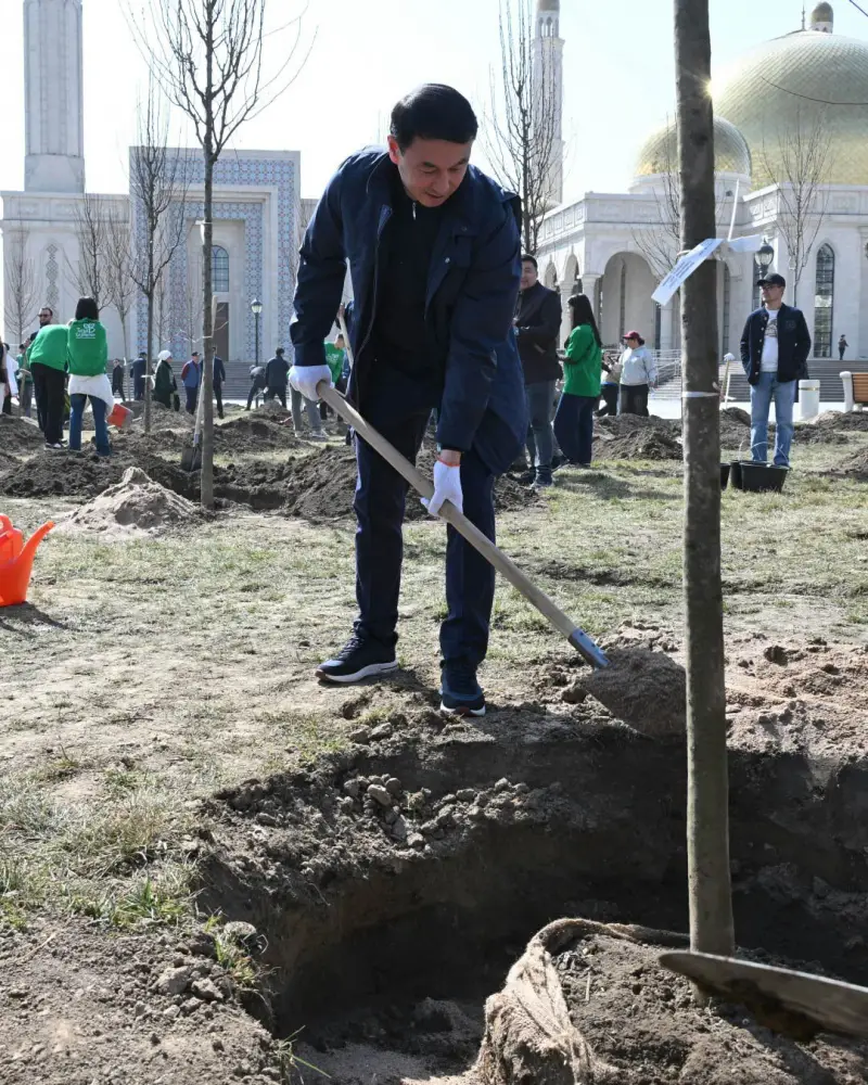 Посадка деревьев в Алатауском районе Алматы Актобе