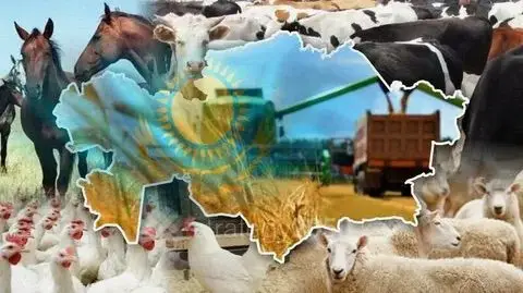 Абайская область: Прогресс в животноводстве к 2025 году Актобе