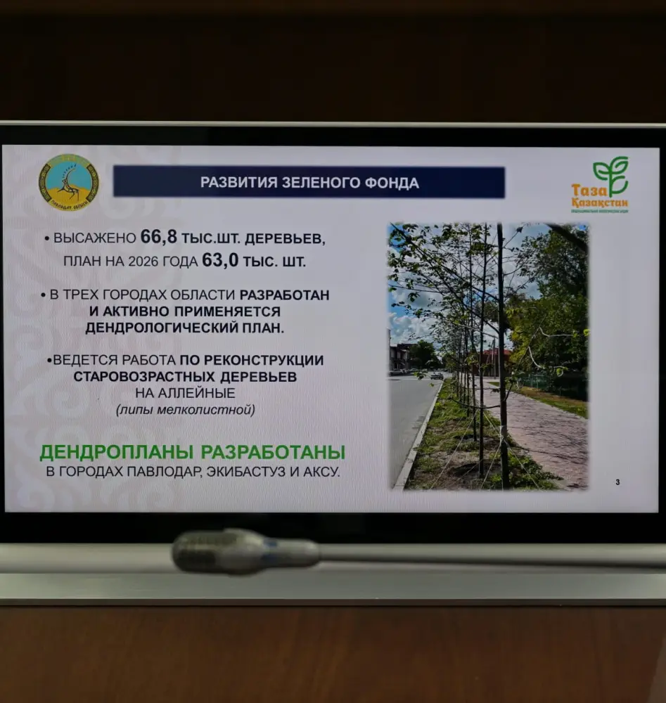 Сегодня в акимате области рассмотрели вопросы благоустройства и санитарной очистки населенных пунктов (2)