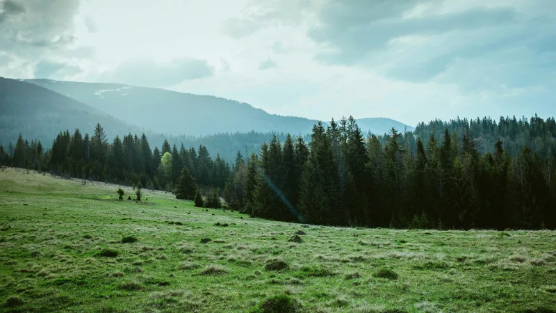 Астана готовится к резкому похолоданию, Алматы ожидает грозы: прогноз погоды на 25-27 апреля Актобе