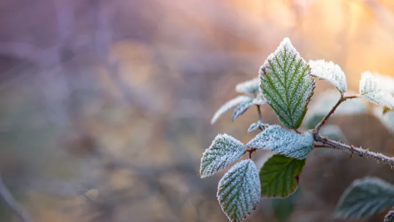Астана готовится к зимнему пробуждению, а Алматы укроется под дождевым одеялом: прогноз погоды на 26-28 апреля Актобе