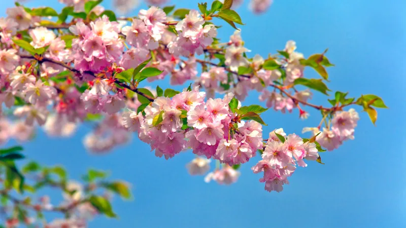 Погода в Астане и Алматы: весенний дождь — не везде, но в сердце города Актобе