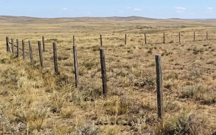 Актобе: Надежда на бесплатные сотки для внуков Актобе