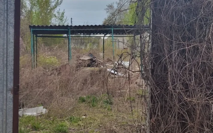 Заброшенные дачи: призраки прошлого, отравляющие будущее Актобе