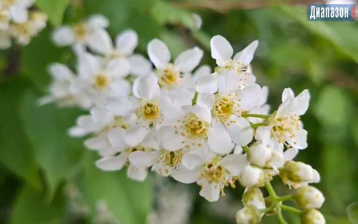 Погода в Актобе на 28-30 апреля: влияние весенних температур на активность горожан Актобе