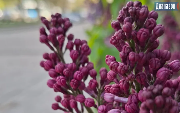 Актобе: майские дожди или солнечные сюрпризы? Актобе