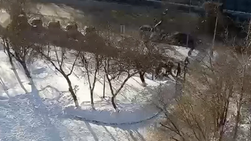 Жестокое избиение школьника в Астане: кастеты и серьезные травмы Актобе