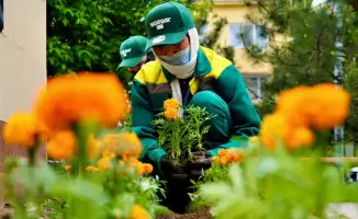 Благоустройство и озеленение в Кентау в рамках программы Таза Қазақстан