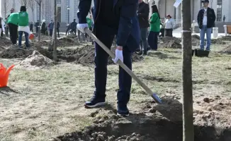 Посадка деревьев в Алатауском районе Алматы
