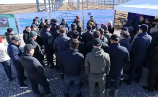 Аграрный сектор Костанайской области: Рекордный экспорт зерна и инновационные меры государственной поддержки