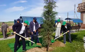 В Казыгуртском районе высадка деревьев в рамках проекта «Таза Қазақстан» способствует озеленению и улучшению экологии региона.