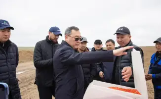 Пастбища в дело: новые горизонты Жамбылского района!