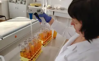 Научно-производственный центр зернового хозяйства запатентовал новые засухоустойчивые сорта растений в Казахстане