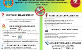Грызуны в Астане: весна пришла с ядом!
