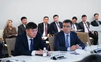 Масштабная борьба с саранчой в Туркестанской области: 2030 человек и 421,5 тыс. га под защитой