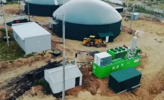 Карагандинская птицефабрика преобразует куриный помёт в энергию, снижая экологическую нагрузку