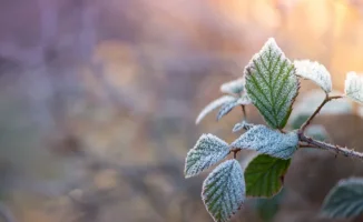Астана готовится к зимнему пробуждению, а Алматы укроется под дождевым одеялом: прогноз погоды на 26-28 апреля