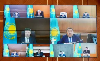 Восточный Казахстан: два года к зелёному будущему с 36 миллионами новых саженцев