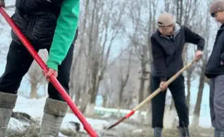 Сельские школьники получают признание за защиту природы на конкурсе "ЭкоФест"