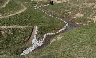 В Толебийском районе прошла экологическая акция по очистке водных источников