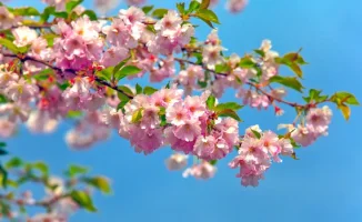 Погода в Астане и Алматы: весенний дождь — не везде, но в сердце города