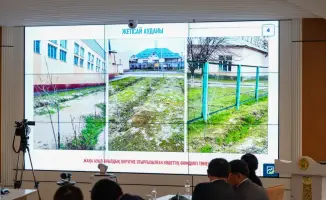 Посадка 1 миллиона саженцев в Туркестанской области как шаг к улучшению экологии и социальной ответственности региона