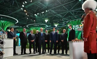 Глобальное сотрудничество в области зеленых технологий: последствия для устойчивого развития стран после Регионального экологического саммита в Астане