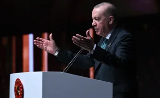 Эрдоган инициирует переговоры по Ирану и Украине: телефонный разговор с Штайнмайером