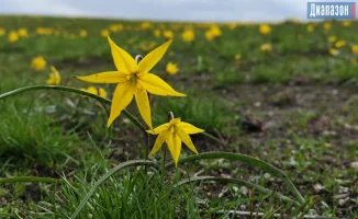 Прогноз погоды на май: температура, осадки и климатические условия в начале месяца