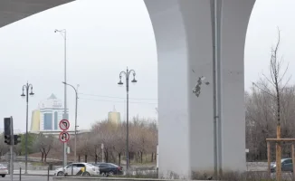 В Астане краска на опорах LRT начала шелушиться: CTS объясняет ситуацию