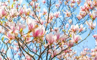 Морозы отступают: Казахстан готовится к потеплению до +28°C в ближайшие дни