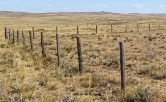 Актобе: Надежда на бесплатные сотки для внуков