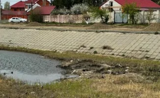 Загрязнение на набережной угрожает экологии и снижает привлекательность района для жителей и туристов