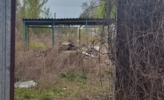 Заброшенные дачи: призраки прошлого, отравляющие будущее