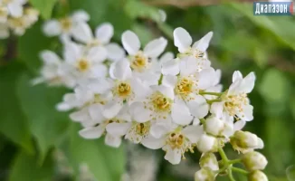 Погода в Актобе на 28-30 апреля: влияние весенних температур на активность горожан