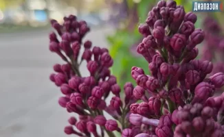 Актобе: майские дожди или солнечные сюрпризы?