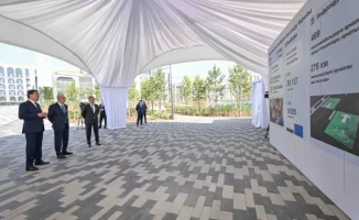 Казахстан: Зеленая симфония под руководством Президента – как экология и озеленение становятся главными нотами государственной политики