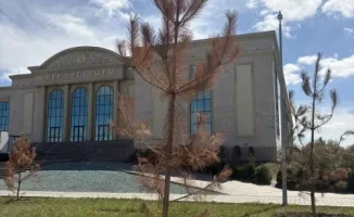 Усыхание сосен в центре искусств: угроза экосистеме и культурным инициативам региона