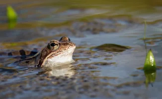Погода в Астане и Алматы: похолодание и грозы 1-3 мая от синоптиков Казгидромета