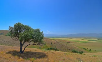 Синоптики Казгидромета прогнозируют жару до 32 градусов в Казахстане на 23, 24 и 25 апреля.