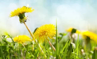 Май 2026 года в Казахстане: синоптики Казгидромета прогнозируют аномально высокие температуры до +44°C и резкие заморозки до - в некоторых регионах. Специалисты отмечают, что в целом по стране ожидается нестабильная погода, с частыми колебаниями температу