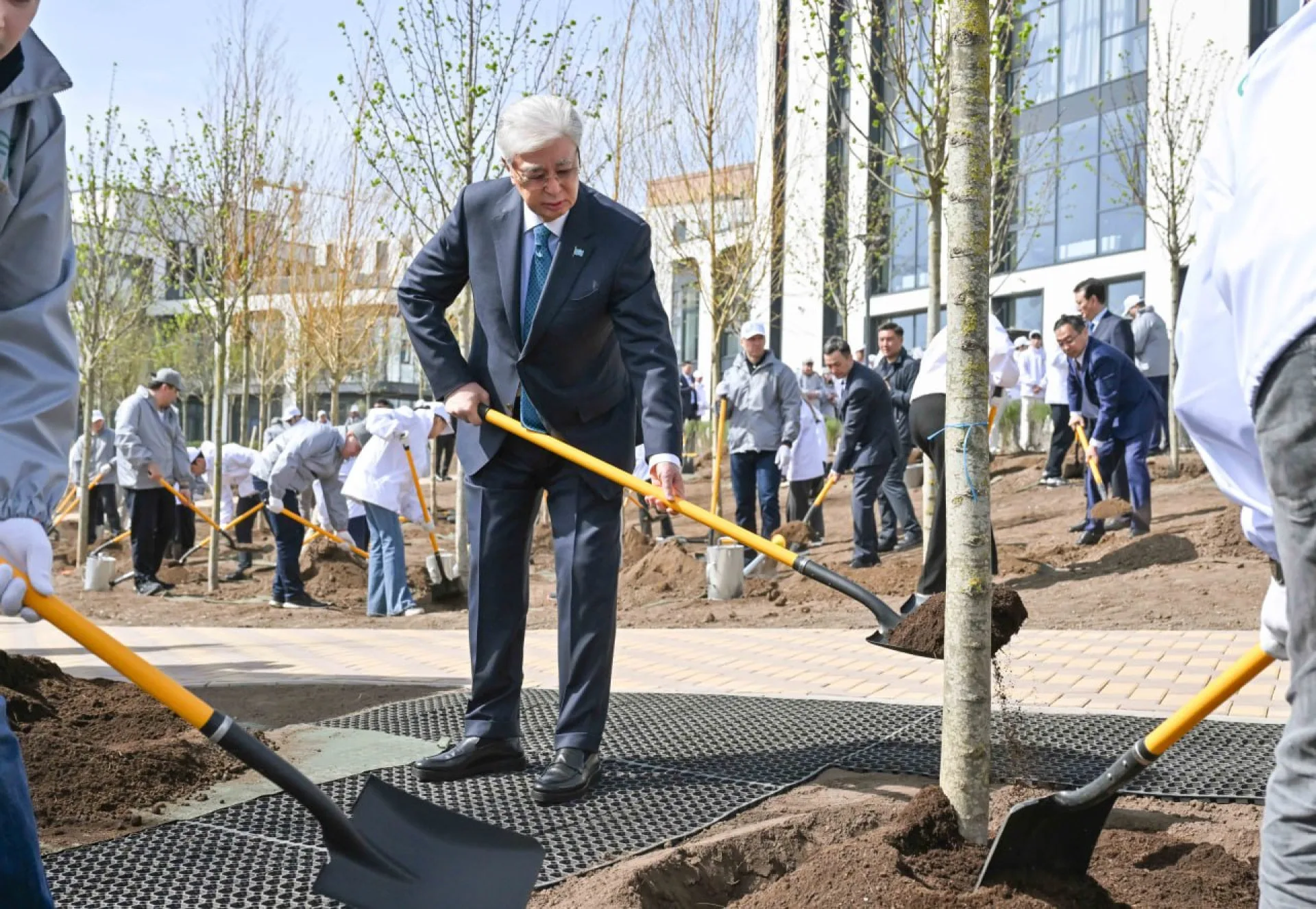 Токаев посадил дерево