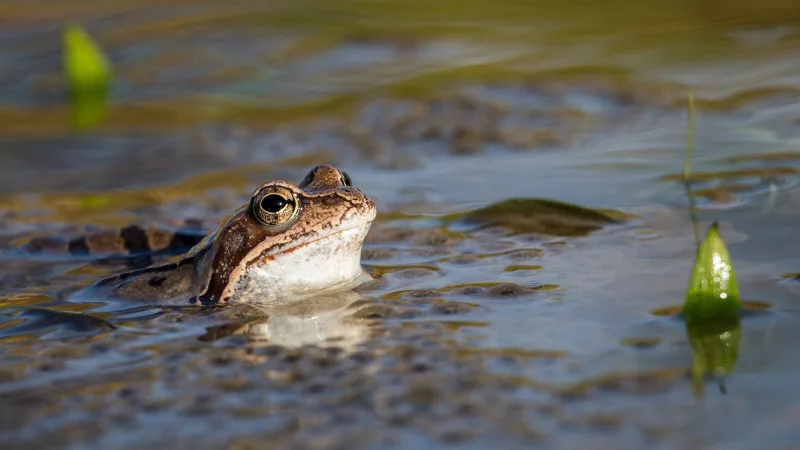 Погода в Астане и Алматы: похолодание и грозы 1-3 мая от синоптиков Казгидромета Актобе