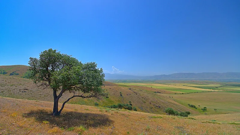 Синоптики Казгидромета прогнозируют жару до 32 градусов в Казахстане на 23, 24 и 25 апреля. Актобе